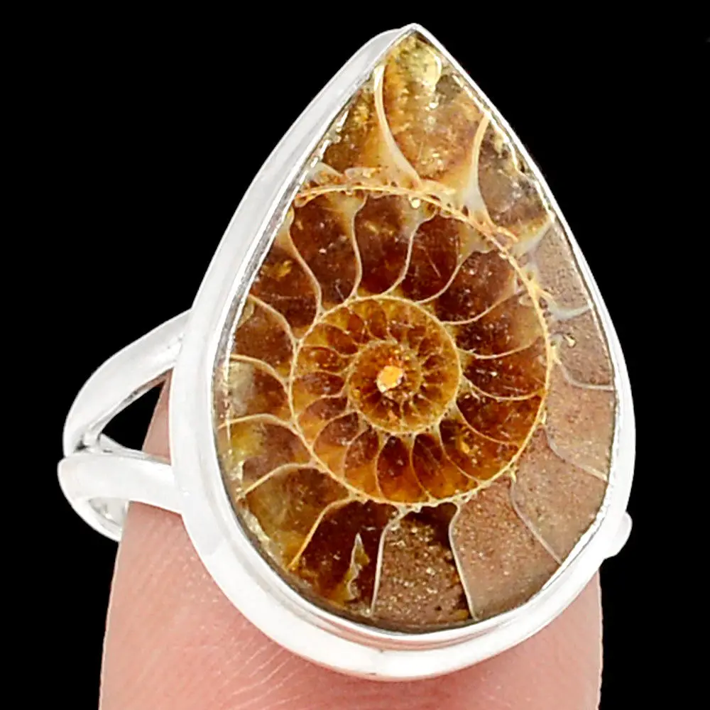 Natural Brown Ammonite Fossil value 925 silver ring Size 8