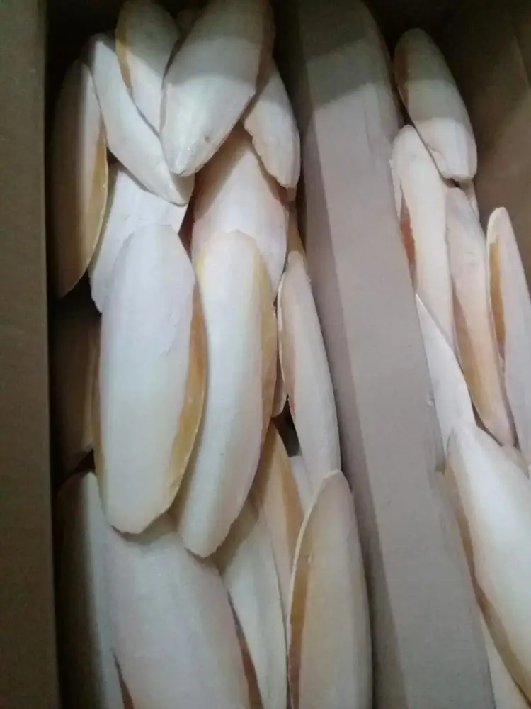 CUTTLE BONE/ CUTTLEBONE 2021 // Mr. ShinCA (+84) 378398089