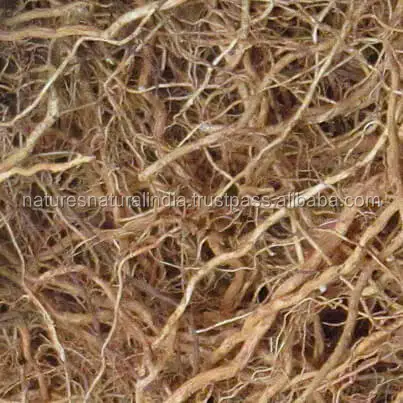 Medical Grade Purpose VETIVER Essential Oil