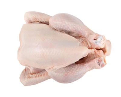 HALAL FROZEN WHOLE CHICKEN / GIZZARDS / THIGHS / FEET / PAWS / DRUMSTICKS / WINGS / BREASTS