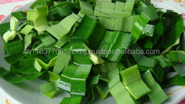 Dried Pandan leaves / OEM Service / Private Label / 100% Natural / Organic / Premium Product of Thailand / Herbal Tea