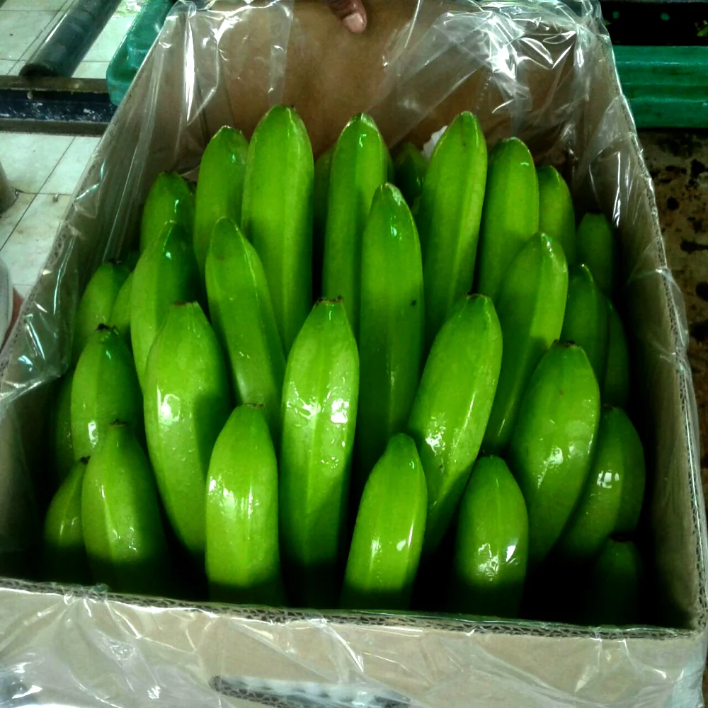 BANANAS PREMIUM from ECUADOR