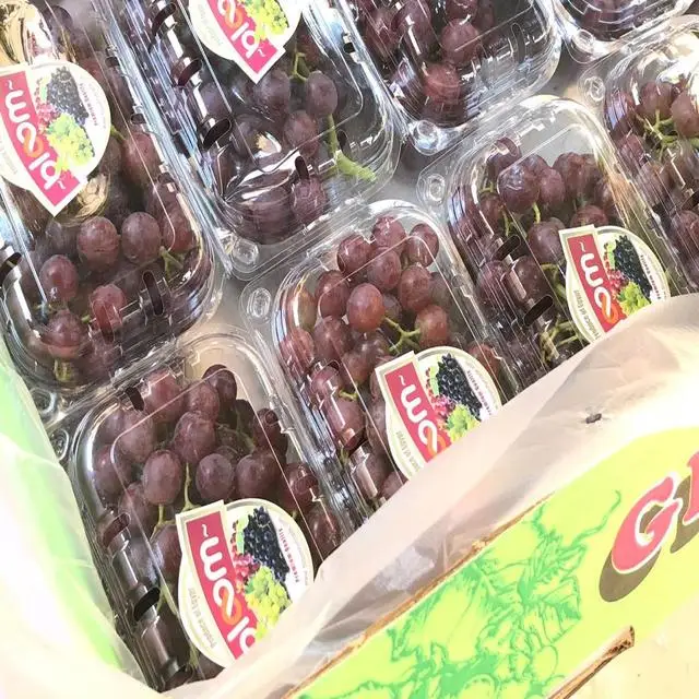 Quality Fresh Seedless Grapes Available in All Colors