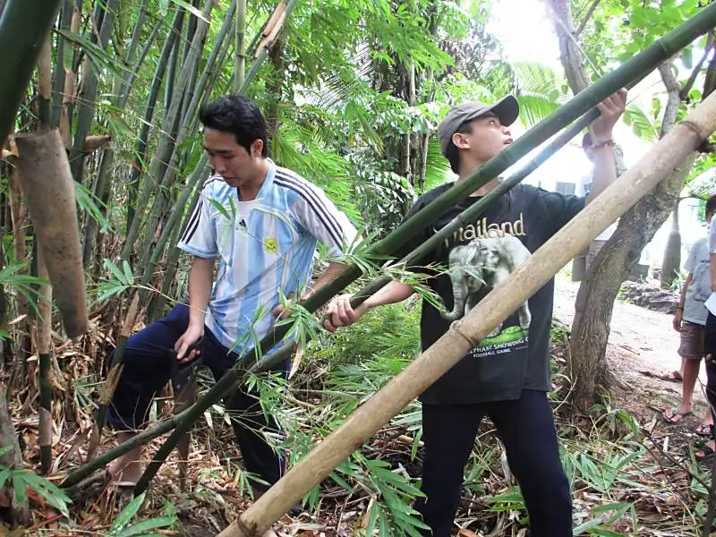 Необработанные бамбуковые стержни/горячая Распродажа продукции по лучшей цене: стержни сделанные во Вьетнаме