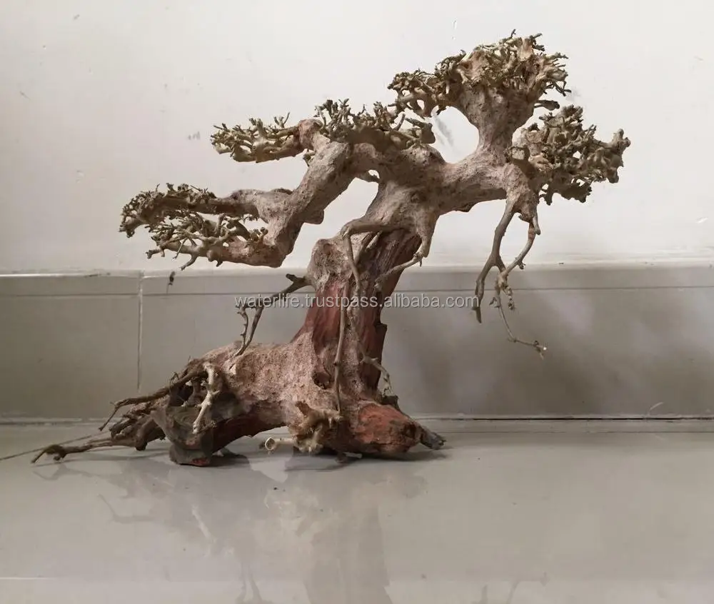 
Natural Bonsai Driftwood 