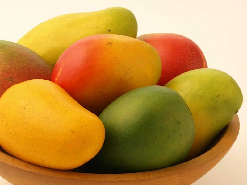 
Organic Fresh Mangos Available at wholesale prices 