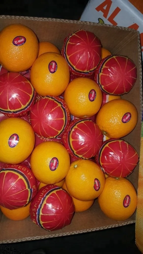 Egypt Navel oranges for Portugal