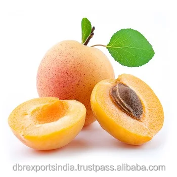 Pure Apricot Kernel Oil
