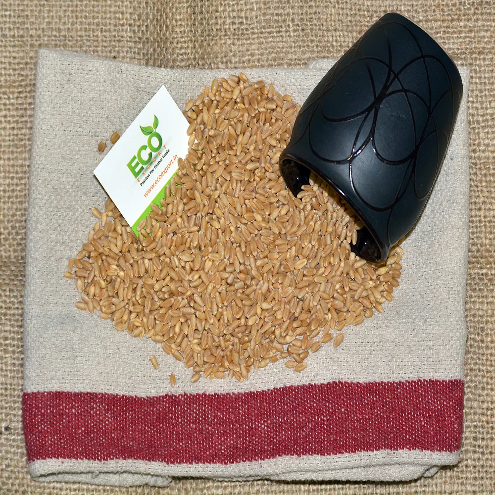 Машина primium для очистки мягкой пшеницы