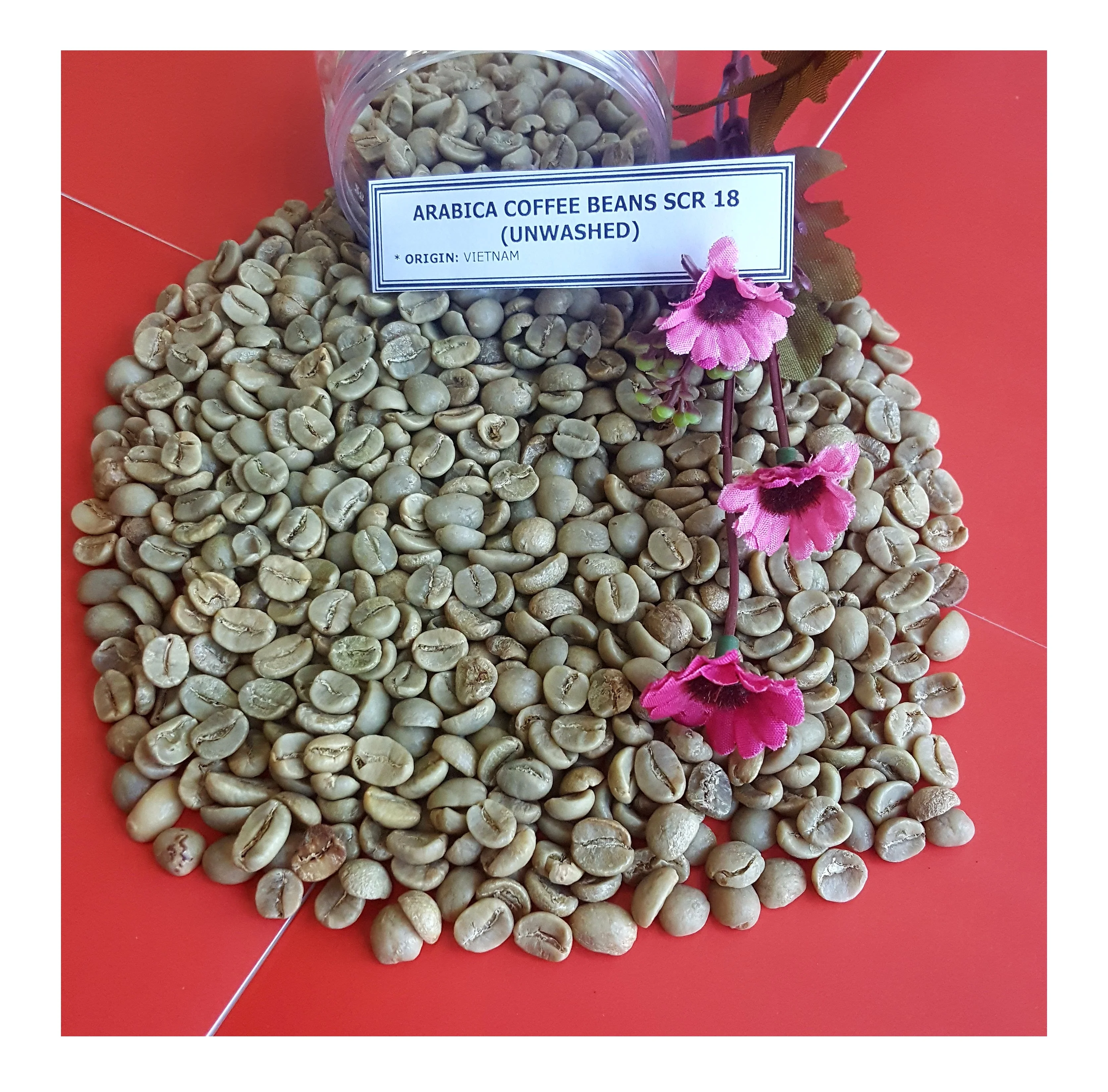 Высокое качество Арабика робуста зеленая кофейная фасоль из Вьетнама Whatsapp:+ 84398885178 Джинни Доан