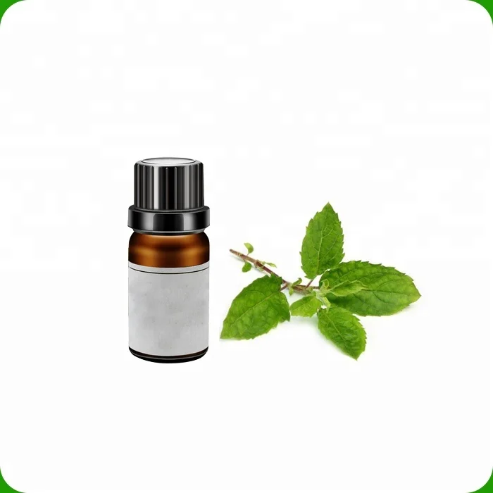 Factory Direct Sale Basil Essential Oil Helps to Support better digestion at Wholesale Low Price