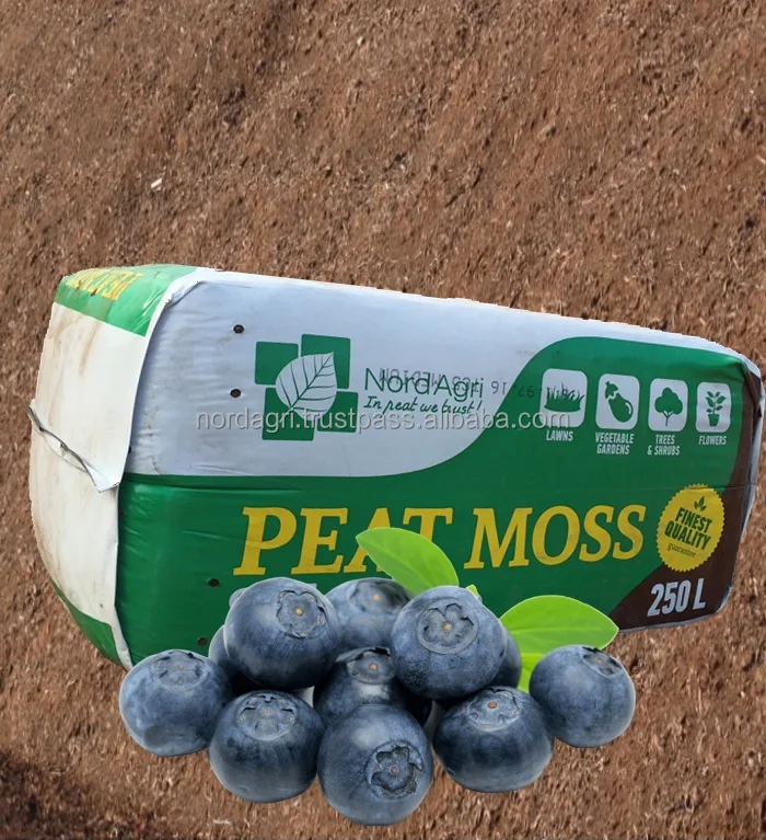 Peat moss for Blueberry