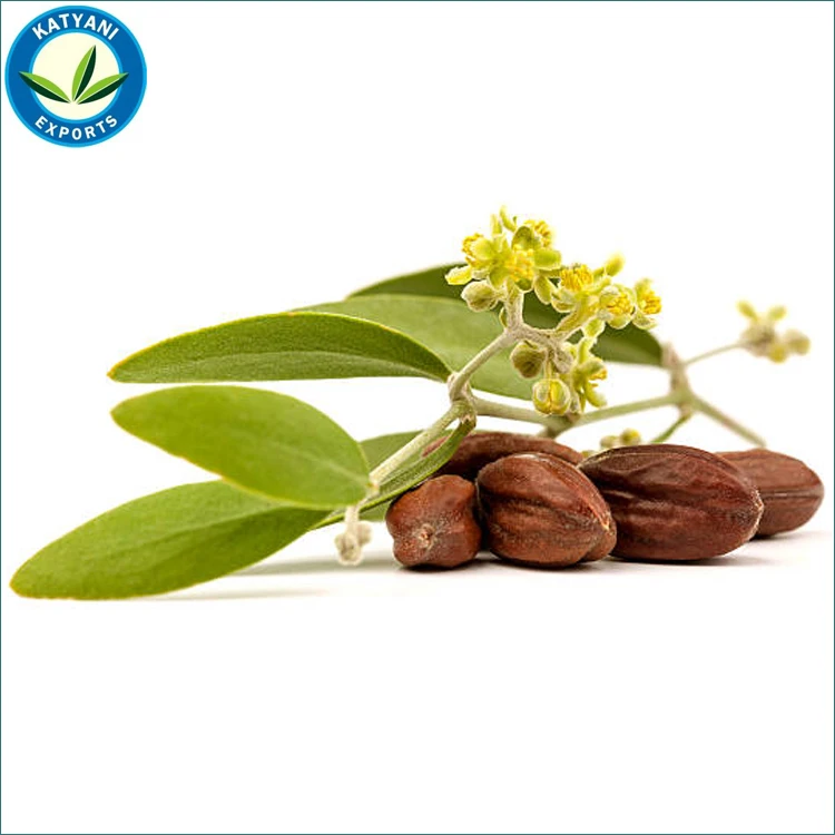 2021 Latest Stock Arrival Top Selling Pure Jojoba Oil for Bulk Purchase