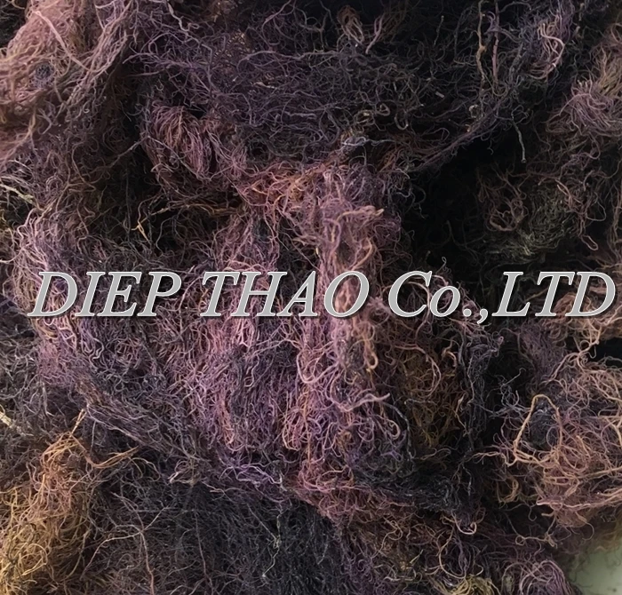 Gracilaria seaweed white color use food human lowest moisture of diep thao company