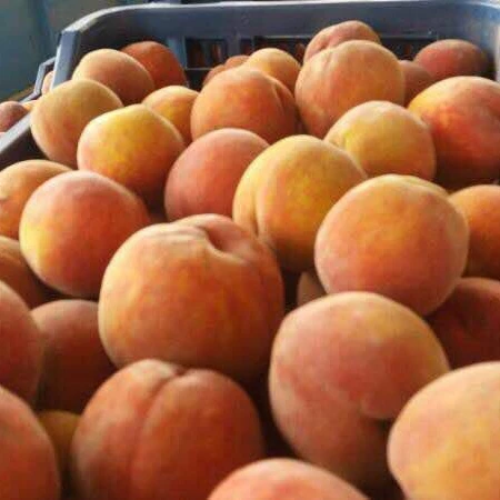 
 Свежие персики класса А  