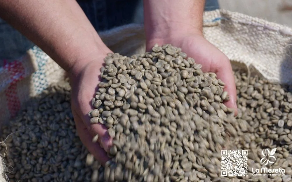 DECAFFEINATED COLOMBIAN COFFEE BEANS