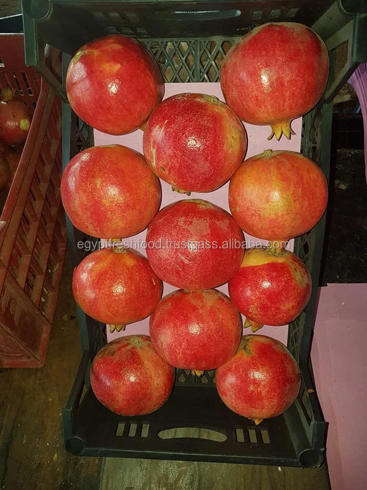 
Pomegranate ready to export fresh crop from Egypt , fresh pomegranate wholesale 