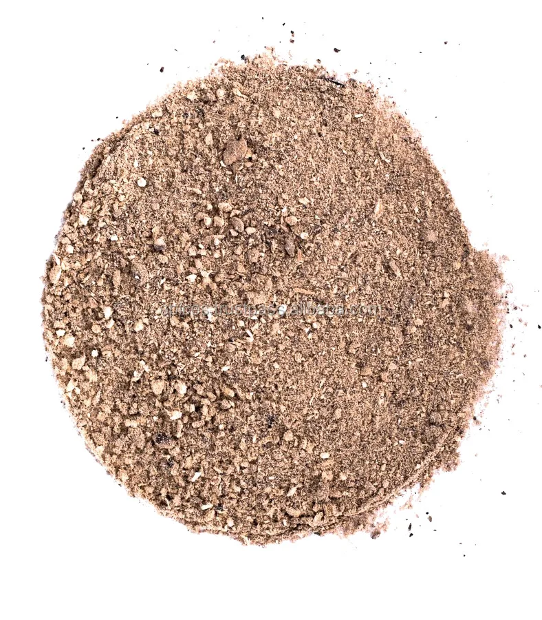 Champignon mushroom powder (air dried) - Agaricus bisporus