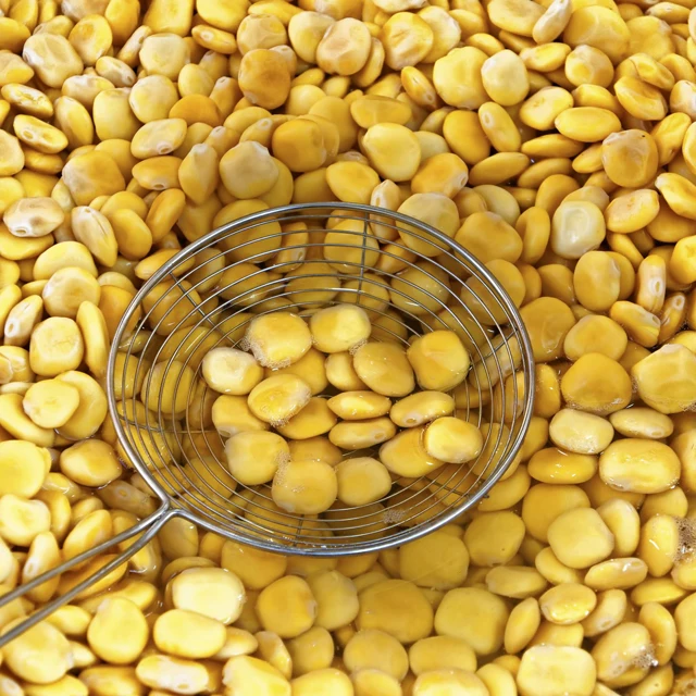  Бобы Lupins по низкой цене для продажи из