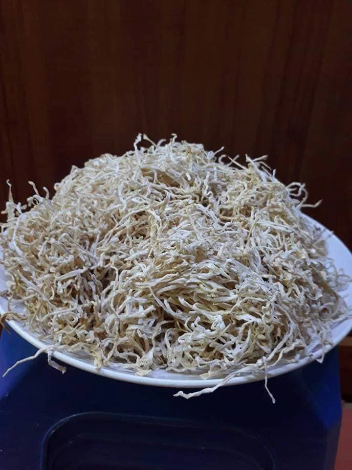 Air Dried Radish/ Sliced 7 - 9cm High Quality  Dehydrated White Radish