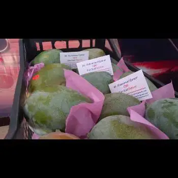 fresh mango fruit ready to export to Uganda