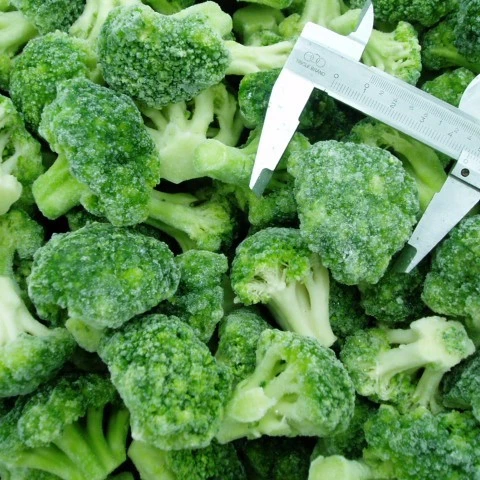 
Healthy high quality organic bulk broccoli fresh from South Africa 