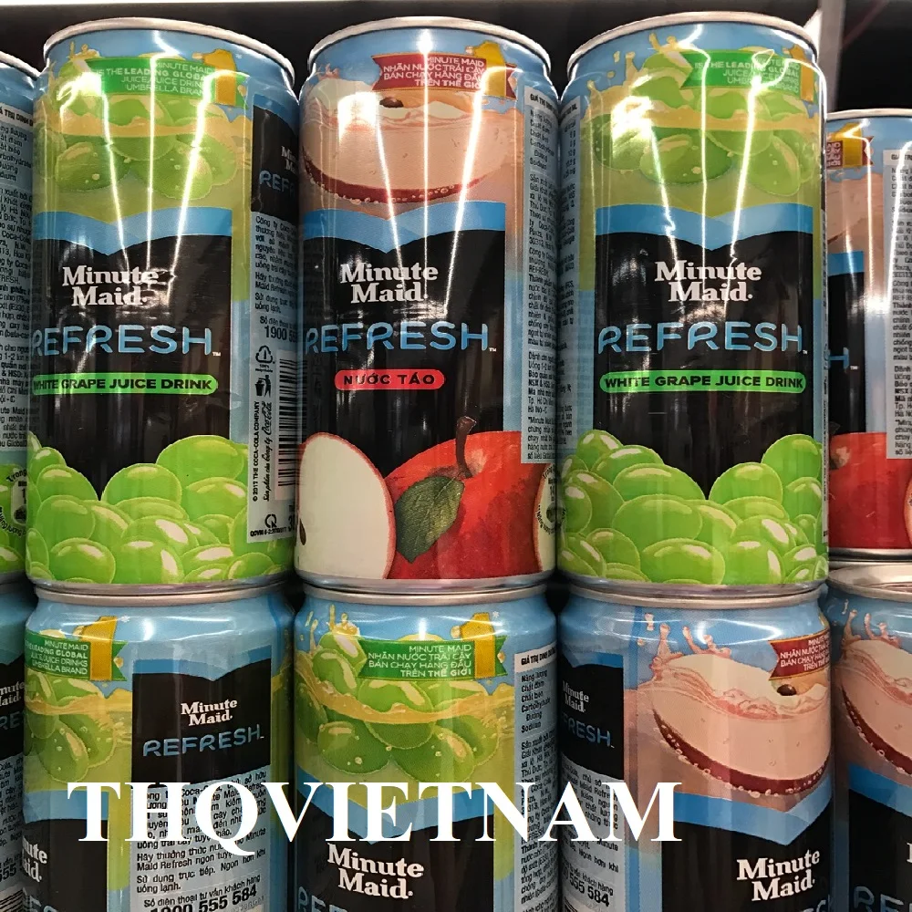 [THQ] MINUTE MAID FRUITY DRINK 330ML