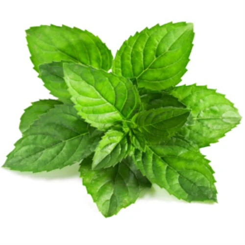 Peppermint Essential Oil for acne scars Cosmetic grade Soap Flavours Factory Sale High Concentration Organic Perfume Oil