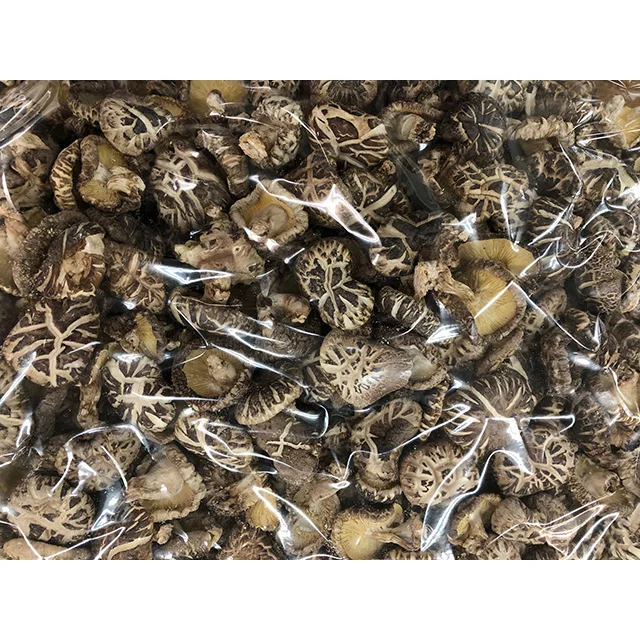 
Dried M size White flower donko-shiitake for longevity secret 