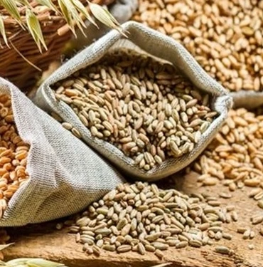  small buckwheat dehuller