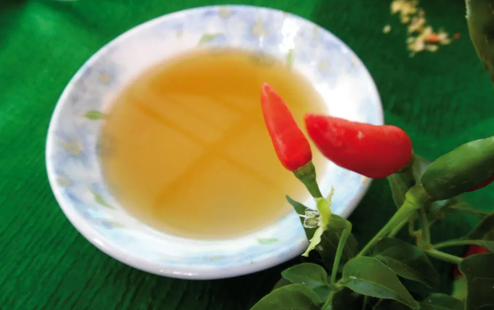 High quality 100% Organic Fish  Sauce with special price/ whatsapp +84 845 639 639