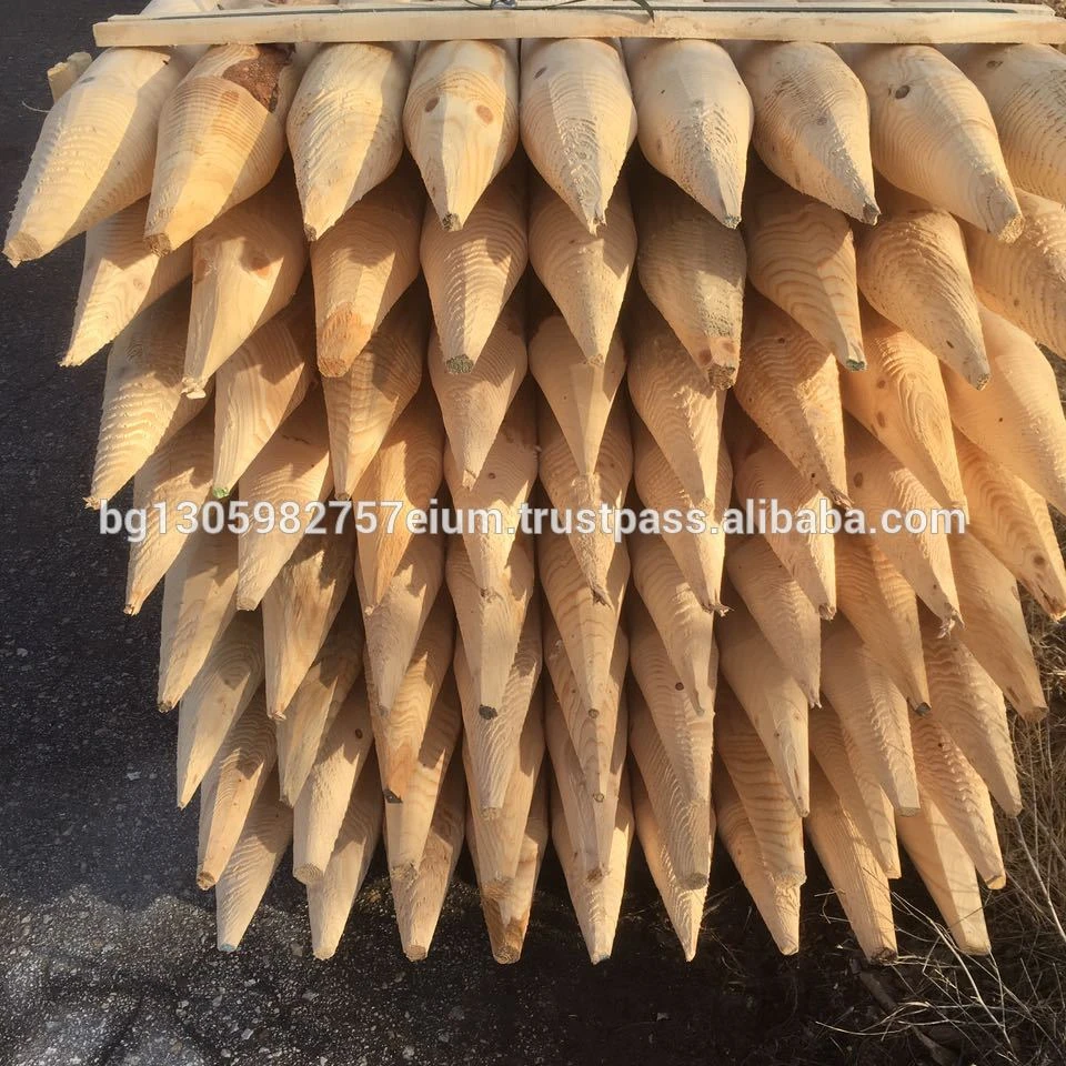 Sharp Point Wood Utility Poles coniferous, lathed and impregnated by high pressure vacuum