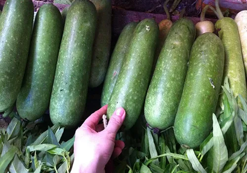 
FRESH WINTER MELON in 2020 