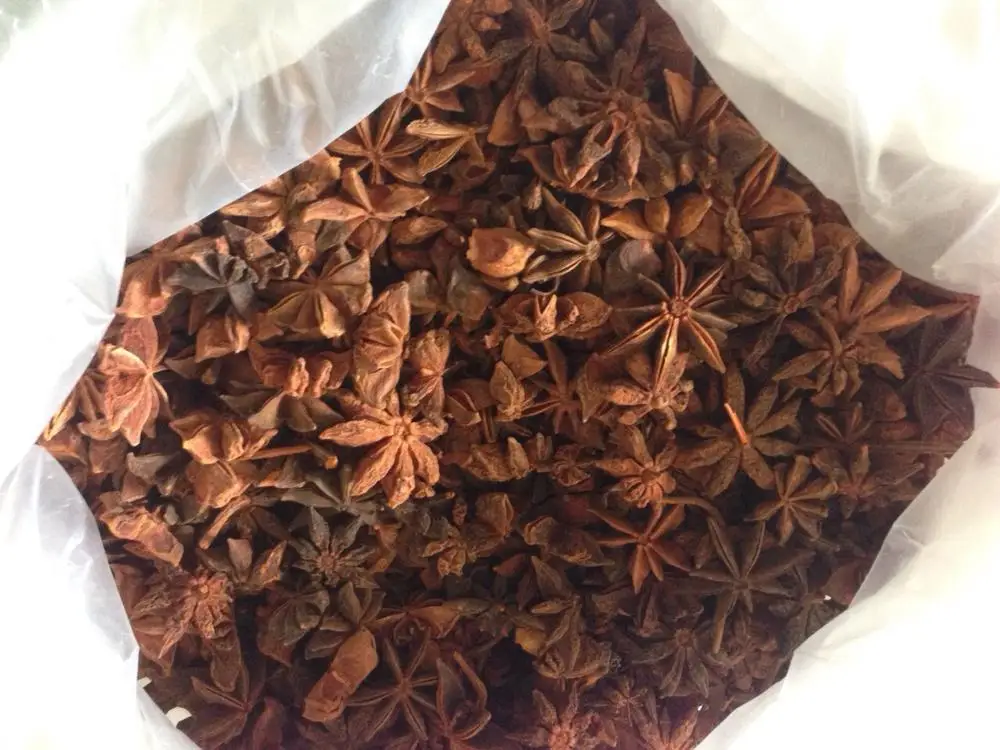 STRONG FLAVOR SPICY STAR ANISE cheap price Spices high quality Viet Nam origin