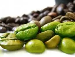 COMPETITIVE PRICE OF GREEN COFFEE BEAN VIETNAM
