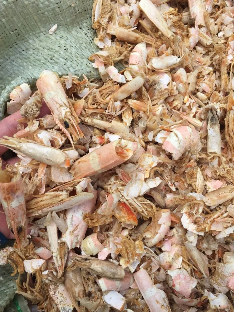 Hot Sale Shrimp Shell Powder from Vietnam Top Premium Natural Animal Feed for Cattle Best Price High Quality