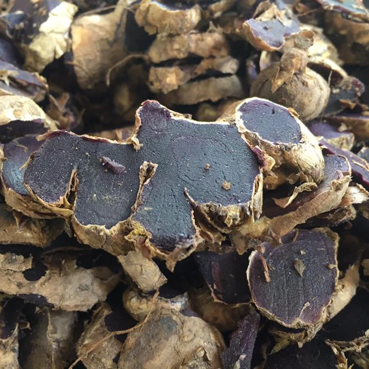 
BLACK GINGER EXTRACT /whatsapp: +84 845 639 639 