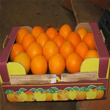 
Orange for sale 
