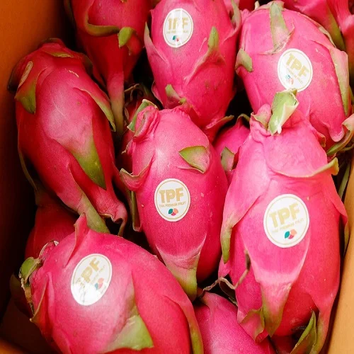 Fresh Dragon Fruit for sale