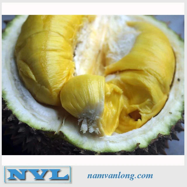 
TOP QUALITY! OFFER FRESH RI6 DURIAN FRUIT WITH HIGH QUALITY AND BEST PRICE 