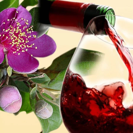 Самая дешевая цена и высокое качество розовое вино мирт