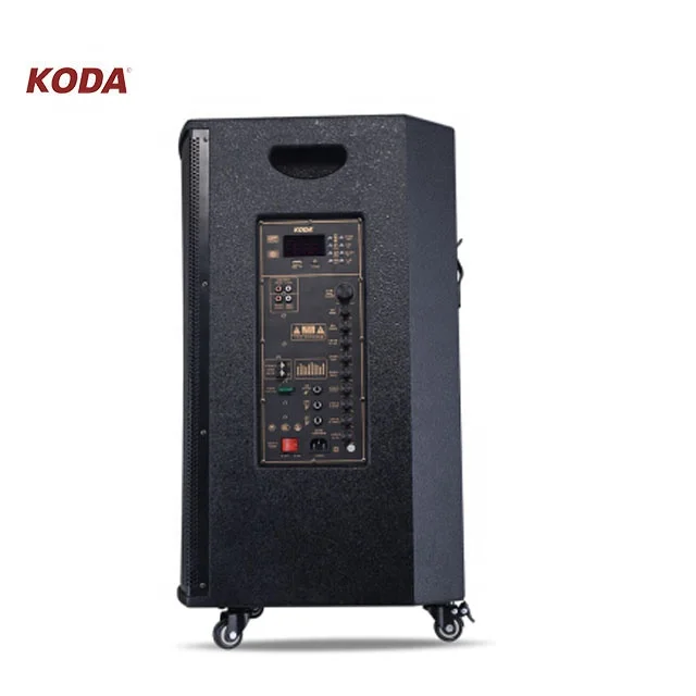 Big Bass 15 inch Rechargeable trolley BT speaker KD-15A