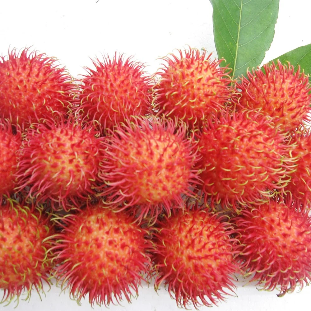 IQF RAMBUTAN WHOLE HALF-PEELED FROM BRC FACTORY IN VIETNAM