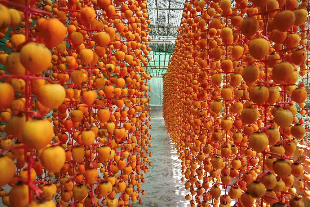 Dried Persimmon Viet Nam