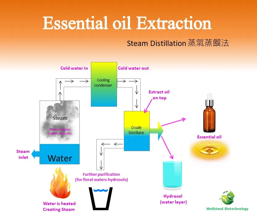 ODM Natural herbal pure aromatherapy German blue chamomile essential oil price therapeutic grade Private label