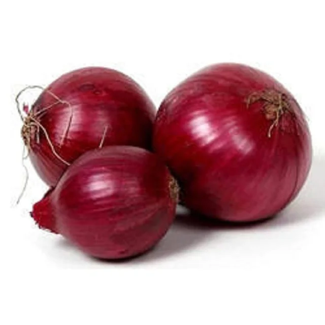 Indian Red Top Quality Fresh Onion New Crop From India