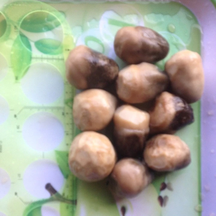 Straw mushroom canned best taste from Vietnam +84 845 639 639