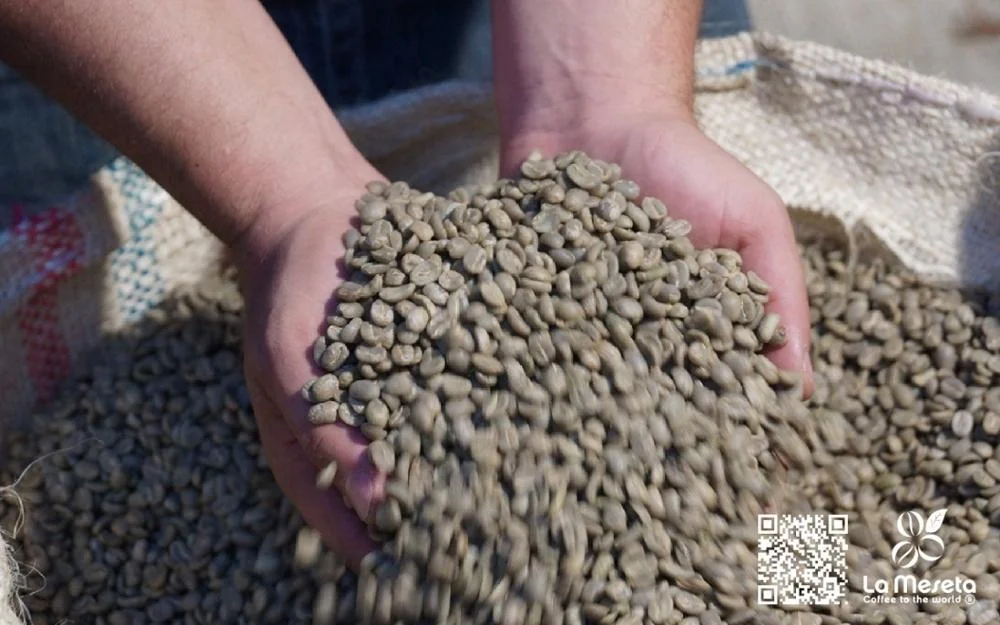 
RAIN FOREST ALLIANCE COLOMBIAN COFFEE BEANS 