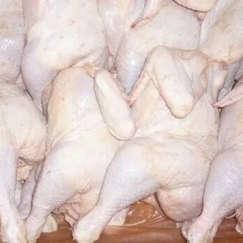
Fresh frozen processed cleaned chicken feet frozen chicken paws 