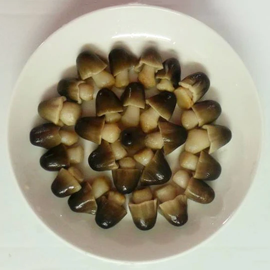 
SALTED PADDY STRAW MUSHROOM FROM VIETNAM WITH BEST PRICE // Ms.Nancy +84 377 518 917 